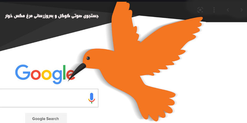 جستجوی صوتی گوگل و به‌روزرسانی مرغ مگس خوار